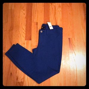 Express Blue Ponte Five Pocket Pant
